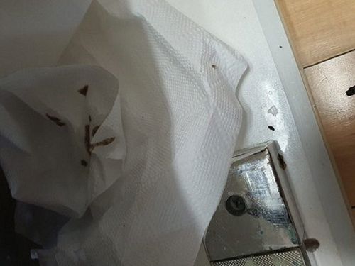 옹진군 하수구막힘 자월면 싱크대 배관 막힘, 실제 점검으로 원인 읽기