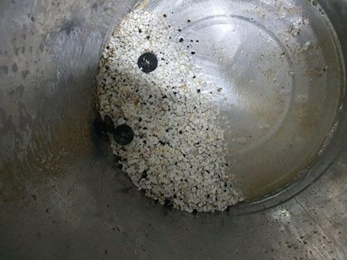 옹진군 하수구막힘 배수구 주변을 점검하는 모습
